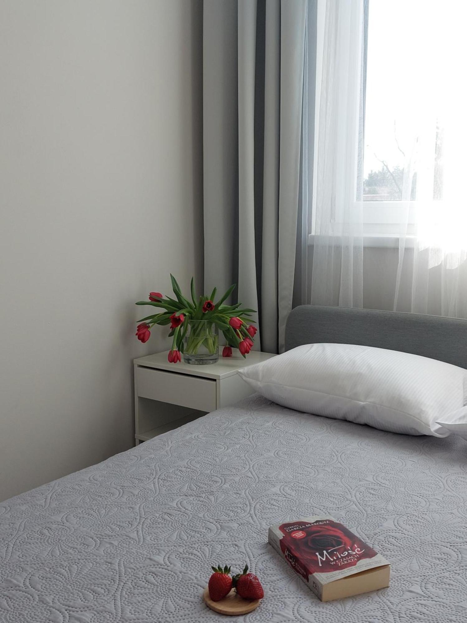 Mr Home Apartments - Limba Краків Екстер'єр фото